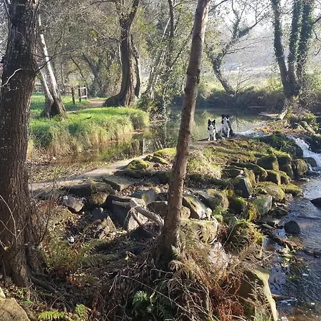 Lejlighed Alameda *