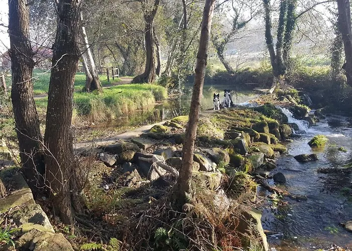 アパート Alameda *