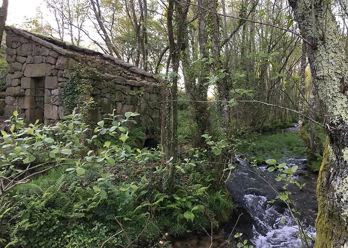 Alameda アパート *